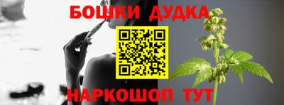 гидра Рузаевка