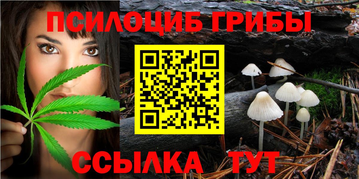 Дальнереченск  купить  сайты  Вход с VPN  Галлюциногенные грибы Cubensis 